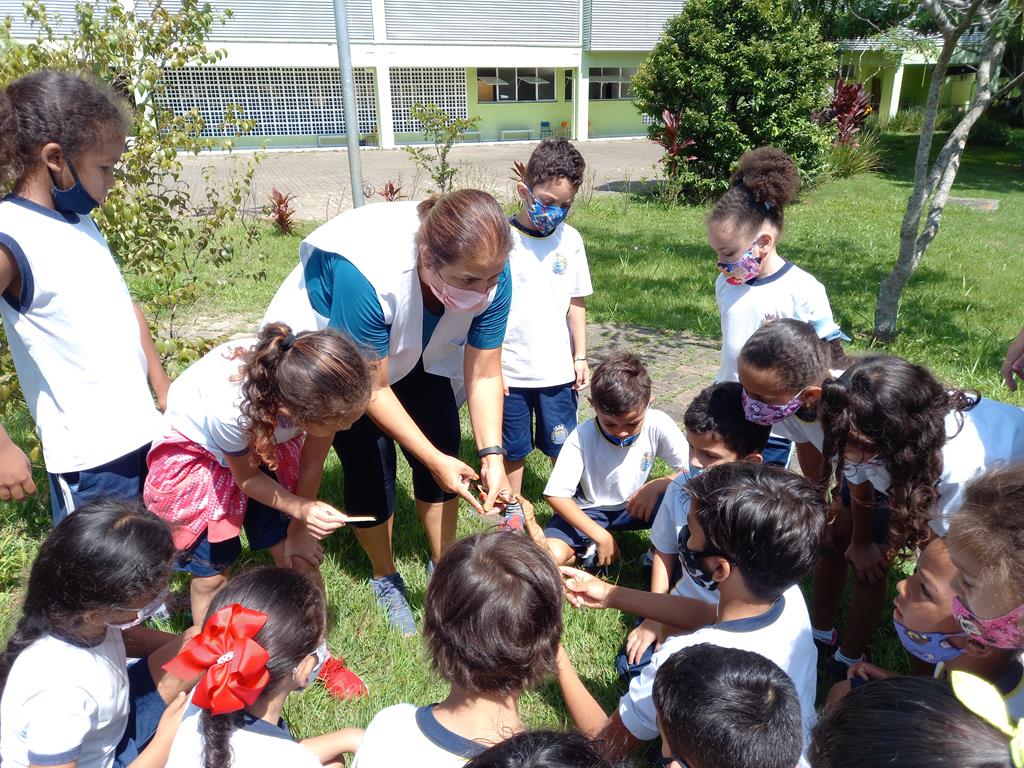 Escolas da rede entram na campanha de conscientização para prevenir a dengue