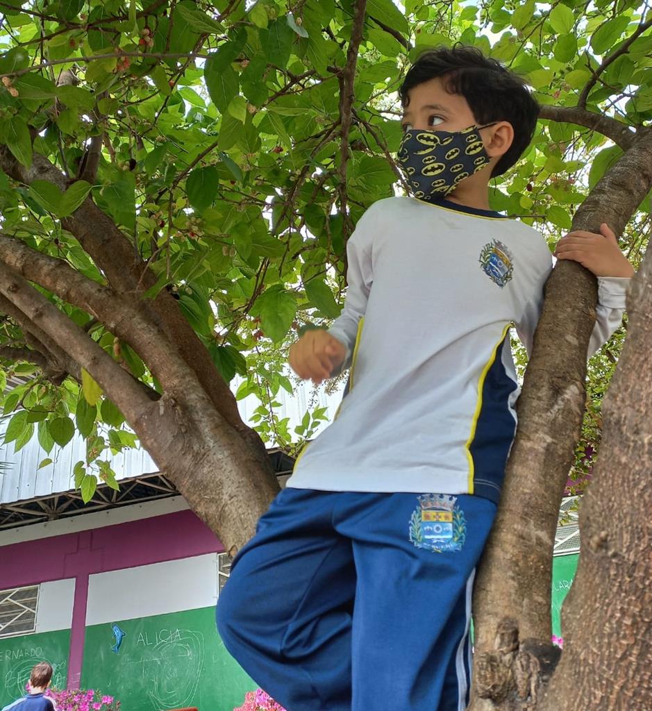 Dia da Árvore e chegada da Primavera são comemorados nas escolas da rede de Barueri